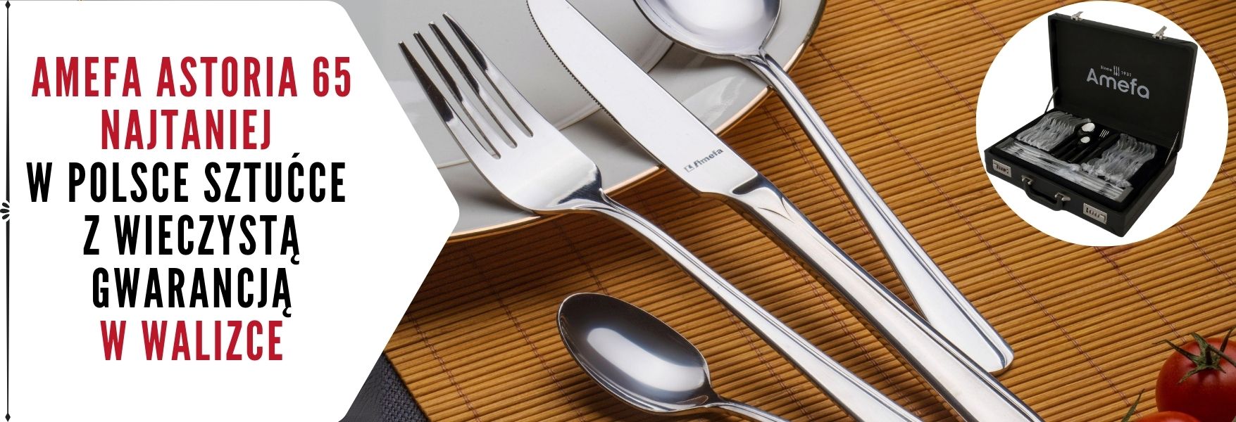 Baner Astoria 65 w walizce